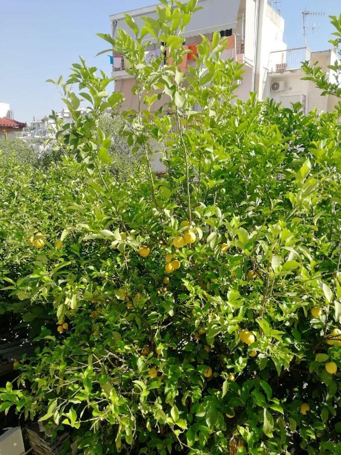 דירות אתונה Lemontree מראה חיצוני תמונה